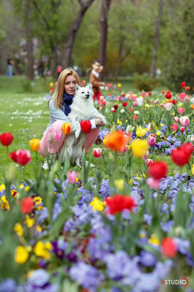 Parcul Kiseleff