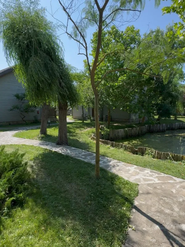 🌿✨ La Green Village, timpul a uitat să mai alerge.
