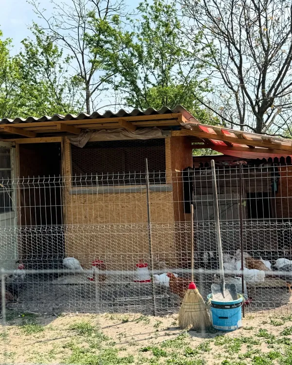 Am fost in vizita la bunici. – 7